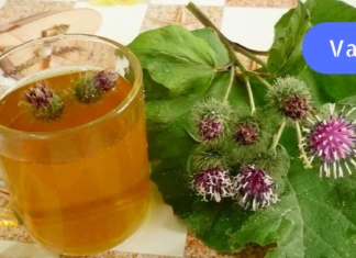 ყველასგან დავიწყებული ეს პროდუქტი ყოვლისშემძლე წამალია! დაგეხმარებათ დაქვეითებული საკვერცხეების ფუნქციის აღდგენაში!