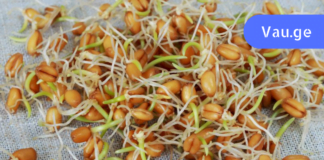 ყველაზე ძვირფასი წამალი მთელი წლის განმავლობაში! მნიშვნელოვანი ინფორმაცია!!