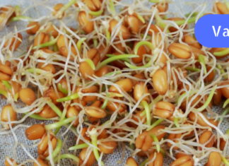 ყველაზე ძვირფასი წამალი მთელი წლის განმავლობაში! მნიშვნელოვანი ინფორმაცია!!