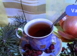 ეს ნაყენი კურნავს ჰიპერტენზიას და ამცირებს სისხლში შაქრისა და ცხიმის დონეს! სცადეთ და არ ინანებთ!