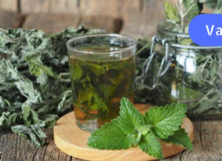 სრულიად შემთხვევით გამოვიყენე ამ ცენარის ფოთლები და ერთმა გამოყენებამ დაარეგულია სისხლი და კუჭ-ნაწლავის ტრაქტის დაავადებები!