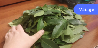 დაფნა ნამდვილად უნიკალური მცენარეა! დაემშვიდებთ მაღალ წნევას, ვარიკოზულ ვენებს და სახსრების ტკივილს!!!!