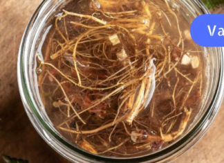 რამდენიმე წელია, რაც ჭინჭრის დაშაქრულ ფესვებს ბრონქული ასთმის სამკურნალოდ ვიყენებ და ეს ნამდვილად ეფექტური საშუალებაა.