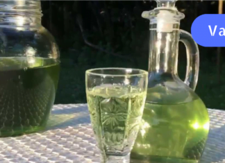 ინსულტის გადატანის შემდეგ ჩემი მამამთილი პარალიზებული იყო: ექიმბაშმა გვასწვლა მწვანე ლობიოს ნაყენის მომზადება. 6 თვის შემდეგ ჩვეულ ფორმას დაუბრუნდა!