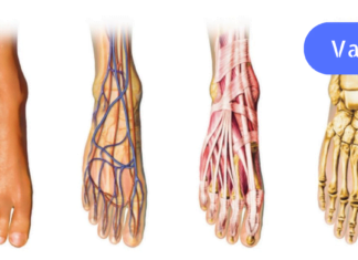 ხელები და ფეხები ხშირად გიცივდებათ? იც, რაც სისხლის მიმოქცევას დაგირეგულირებთ!