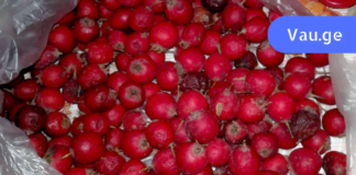 გულის აჩქარება და ფრიალი გენეტიკურად გვაწუხებს ოჯახში. ჩვენ გადავწყვიტეთ ხალხური რეცეპტებით გავმკლავებოდით ამ პრობლემებს.