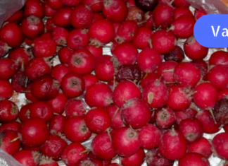 გულის აჩქარება და ფრიალი გენეტიკურად გვაწუხებს ოჯახში. ჩვენ გადავწყვიტეთ ხალხური რეცეპტებით გავმკლავებოდით ამ პრობლემებს.