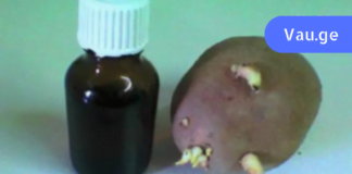 ერთ დღეს სამსახურში საუბარი დავიწყეთ სახსრების დაავადებებზე და ერთ-ერთმა კოლეგამ მიამბო, როგორ განიკურნა ამ მტაჯველი ტკივილისგან კარტოფილის თეთრი ყლორტებით!