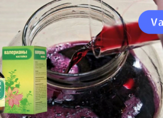 ვალერიანის და ღვინის კომბინაციით სასწაულმოქმედი წამალი მზადდება. ის მხედველობას აღადგენს!