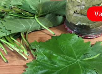 სასწრაფოდ!! ვისაც თრომბის ნიშნები აქვს, გაეცანით ამ ფასდაუდებელ რეცეპტს, რომლის დახმარებითაც პრობლემა სამუდამოდ მოგვარდება!!!