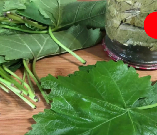 სასწრაფოდ!! ვისაც თრომბის ნიშნები აქვს, გაეცანით ამ ფასდაუდებელ რეცეპტს, რომლის დახმარებითაც პრობლემა სამუდამოდ მოგვარდება!!!