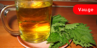 1 ღერო ჭინჭარი ცვლის 1სააფთიაქო წამალს – ასე ამბობდნენ ძველ საბერძნეთში