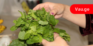 ერთი მუჭა პიტნით მარტივად გაისუფთავებთ ღვიძლს და კუჭს : ამის შემდეგ არასოდეს შეგაწუხებთ გასტრიტი!