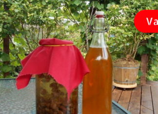 იცოდით, რომ ძმარში დალბობილი ქიშმიში სისხლძარღვებს საოცრად ასუფთავებს