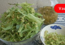 რეცეპტი, რომელიც ყველაზე მძიმე პაციენტსაც კი აყენებს ფეხზე