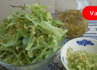 რეცეპტი, რომელიც ყველაზე მძიმე პაციენტსაც კი აყენებს ფეხზე