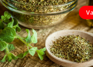 ორეგანო, იგივე თავშავა, კურნავს ყველაზე რთულ დაავადებებს! – ამას ექიმი გვირჩევს!
