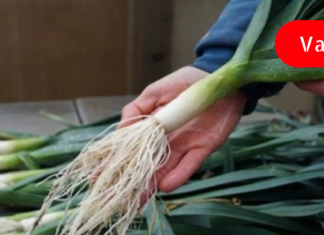 დაემშვიდობეთ დიაბეტს სამუდამოდ, ყოველგვარი მედიკამენტებისა და სპეციალური მოქმედებების გარეშე – სასწაულმოქმედი რეცეპტი!