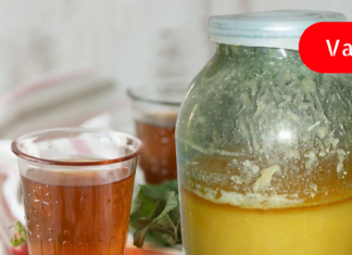 ჩემი დედამთილის დღიურში ეს საიდუმლო რეცეპტი აღმოვაჩინე – გაოცებას ვერ ვმალავ!