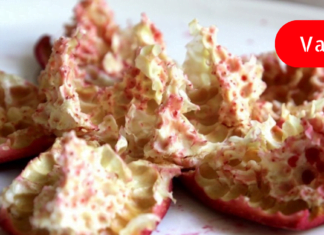 ჭიების გამოდევნის საუკეთესო საშუალება გახლავთ ბწოეულის ქერქი : აი როგორ უნდა მოამზადოთ