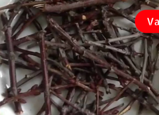 სასწრაფოდ! – ეს რეცეპტი სასწაულია! სულ რაღაც ერთ დღეში განკურნავს ამ დაავადებებს!!