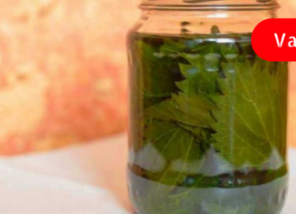 სკლეროზი გტანჯავთ და არ იცით რა მოიმოქმედოთ? მაშინ ეს სტატია თქვენთვისაა