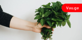 პიტნა ფასდადუდებელი მცენარეა ჩვენი ჯანმრთელობისთვის. გაეცანით მისი გამოყენების 10 გზას.