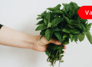 პიტნა ფასდადუდებელი მცენარეა ჩვენი ჯანმრთელობისთვის. გაეცანით მისი გამოყენების 10 გზას.