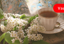 ხალხური შეუდარებელი რეცეპტი, რომლის შესახებაც ყველამ უნოდეს იცოდეს! კურნავს უამრავ დაავადებას!