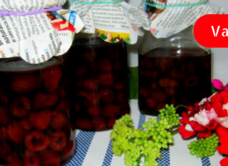 სიცხის დამწევი ეს ბუნებრივი საშუალებები ბევრად ეფექტიანია! მინდა ყველას მოგიყვეთ ამის შესახებ!