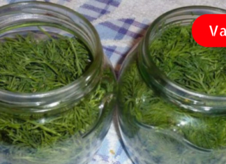 თუ ჩემსავით თქვენც გტანჯავთ მაღალი წნევა, ნუ დახარჯავთ ფულს ძვირიან წამლებში, სცადეთ ძველი რეცეპტი. სულ რაღაც ერთ კვირაში დამავიწყა ეს პრობლემა…