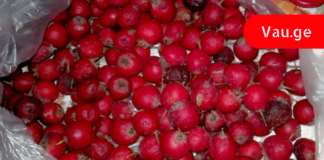 გულის აჩქარება და ფრიალი გენეტიკურად გვაწუხებს ოჯახში. ჩვენ გადავწყვიტეთ ხალხური რეცეპტებით გავმკლავებოდით ამ პრობლემებს.