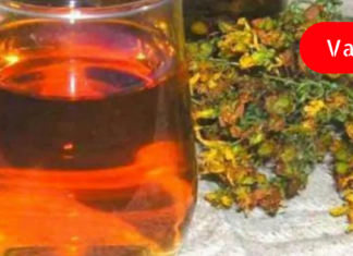 კლიმაქსის სამკურნალო მცენარეული საშუალება, რომელიც შესამჩნევად შეგიმსუბუქებთ ამ პერიოდს!!!