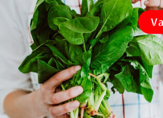 ეს ბოსტნეული შეიცავს უფრო მეტ რკინას, ვიდრე ნებისმიერი ხორცი!