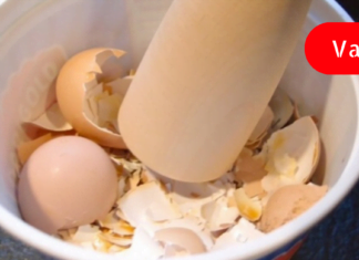 7 მნიშვნელოვანი მიზეზი, თუ რატომ უნდა გამოიყენოთ კვერცხის ნაჭუჭი ! – ნეტავ აქამდე მცოდნოდა !