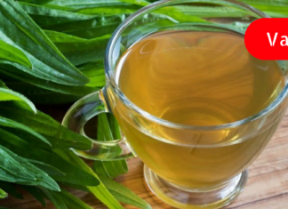 ქილაში შენახული ჯანმრთელობა მთელი წლით !მრავალძარღვას ეს ნაყენი 100-ზე მეტ დაავადებას კურნავს! უძველესი სამკურნალო რეცეპტი!