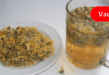 ეს ნაყენი სულ რაღაც სამ დღეში მოგიხსნით კუჭ-ნაწლავის სპაზმებს და გაგიუმჯობესებთ კუჭის მოქმედებას!