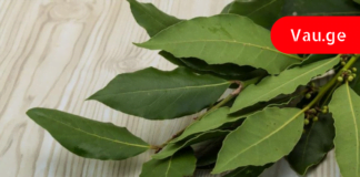 დაფნა ყოველთვის გიშველით : სამკურნალო რეცეპტები, რომელთა მომზადების შემდეგ მადლიერი იქნებით