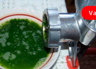 ბიუჯეტური რეცეპტი  ფილტვების დაავადებათა სამკურნალოდ : შედეგი საოცარია