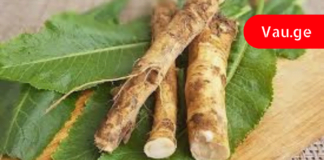 მთელს მსოფლიოს უყვარს ეს მცენარე! აღადგენს სახსრებისა და ძვლების ჯანმრთელობას!