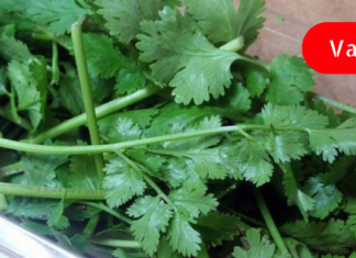 არ არსებობს წამალი, რომელიც შეედრება ამ საშუალებებს: მკურნალობს დიაბეტს, თირკმელებს, პანკრეასს, აუმჯობესებს მხედველობას, აცილებს დაგროვილ ცხიმებს და ა.შ.