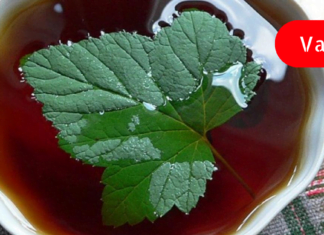 რეცეპტები თირკმელების ქვების დასაშლელად! მარტივი და ეფქტურია!