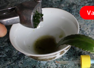 ეს ჯადოსნური საშუალება ყველაზე რთულ ეტაპზეც კი შველის ვარიკოზულ ვენებს!!!