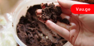 გააკეთეთ ეს 8 ხრიკი ყავის ნალექით და თქვენი ცხოვრება სამუდამოდ შეიცვლება