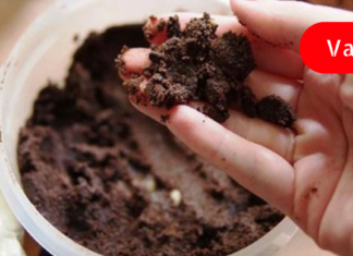 გააკეთეთ ეს 8 ხრიკი ყავის ნალექით და თქვენი ცხოვრება სამუდამოდ შეიცვლება