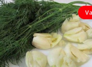 როდის და ფორმით უნდა გამოვიყენოთ კუჭის სამკურნალოდ ნიორი და კამა?! – ამის ცოდნა ყველას გამოგადგებათ