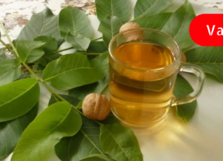 მომხმარებლის ნაამბობი, როგორ დააღწია თავი სკლეროზს – ეფექტური რეცეპტები