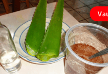 მას შემდეგ რაც ალოე ვერას სამკურნალო რეცეპტები აღმოვაჩინე, აფთიაქში აღარ შევდივარ