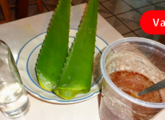 მას შემდეგ რაც ალოე ვერას სამკურნალო რეცეპტები აღმოვაჩინე, აფთიაქში აღარ შევდივარ