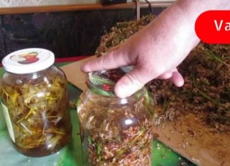 აი როგორ უნდა გაუმკლავდეთ კლიმაქსურ პერიოდს! ყველაზე ეფექტური რეცეპტებია რაც კი აქამდე მიცდია!